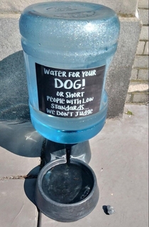 Water Bowl Outside a Pet Store