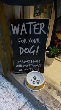 Water for your dog