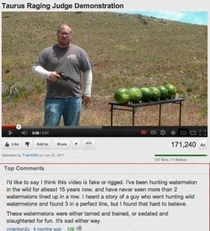 Watermelon hunting is a tough sport