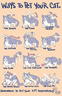 Ways to pet your cat