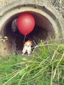 We all bork down here