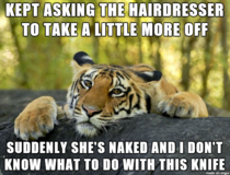 We All Know This Feeling At The Hairdresser