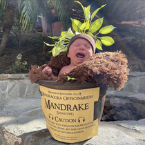 We always joked that our little guy looked like a Mandrake Root when he cried Therefore we dressed him up as one for his first Halloween