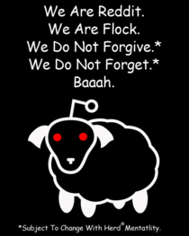 We Are Flock