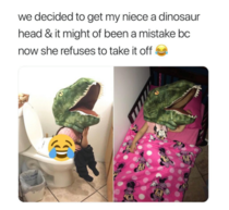 we decided to get my niece a dinosaur head