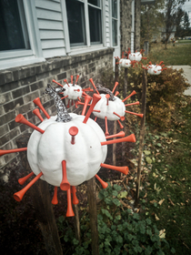 We finally got around to putting up pumpkin decorations