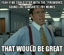 We get it Fry fireworks sound like gunshots