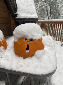 We got a snow storm today and my sons pumpkin became the Trumpkin