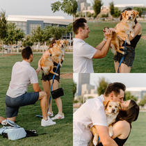 We got engaged but my dog was absolutely positive the photographer was there for her