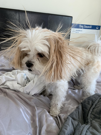 We had a friend spend the night and learned about static electricity this morning