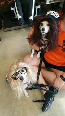 We had a Halloween contest at my store today Wayne and Garth were our winners