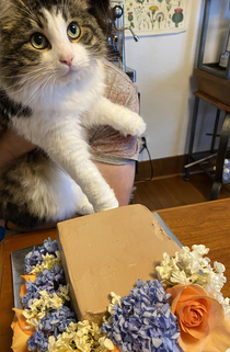 We had our wedding cake remade for our th anniversary and this fat bastard took the first bite