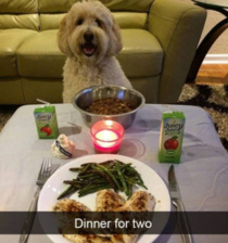 We Have Dinner For Two