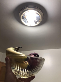 We have unknowingly been using our light fixture as a fruit bowl in our new apartment