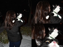 We introduced our cat to snow the other night I think it went well