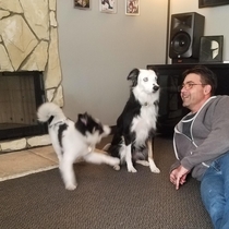 We introduced the office dog to a new puppy today