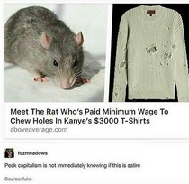 We need to have better working conditions for rats