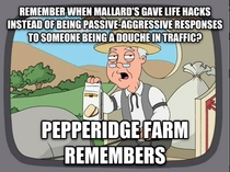 We should start calling it the traffic safety mallard