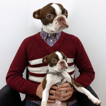 We were asked to bring our dogs to work for picture day They didnt tell us why This is why