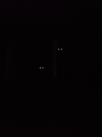weather is so hot that i literally have  fans staring at me all night long watching me sleep