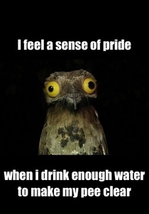 Weird stuff I do Potoo