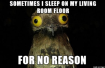 Weird Stuff I Do Potoo is my new favorite thing
