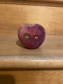 Weirdly perfect eyes formed on a moldy apple