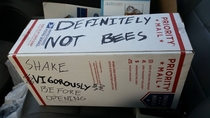 Well at least its not bees