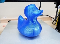 Well I printed the duck blue because Id never seen a blue duck before and I wanted to see one