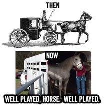 Well played horse