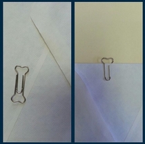 Well played paperclip well played 