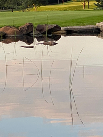 Well screw you too water hazard