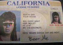 Well thats Best fake ID ever