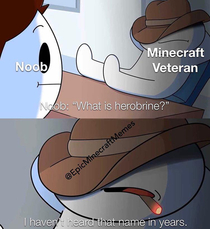 Wen you are a Minecraft Veteran 