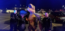 Went Christmas shopping last month in the dino suits with my mom and sister Caused too much of a ruckus at Target Got stopped by the police I regret NOTHING