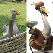 Went to a farm today and there was a goose reminding me of someone 