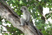 went to South Africa a few years back wonder what hes thinking about