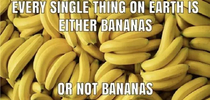 Were big bananas