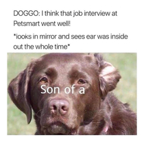 Weve all been there Doggo