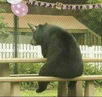 What a sad birthday party I would have gone if I knew about it