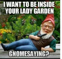 What a suave gnome