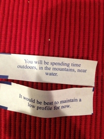 What are these fortunes trying to tell us