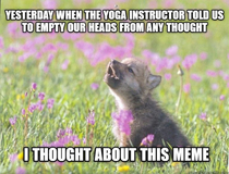 What are you A yoga instructor or the thought police