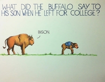 What did the buffalo say when his son left for college