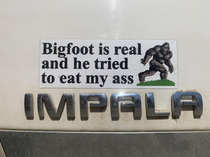 What do you think of the new bumper sticker