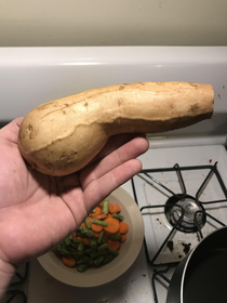 What does my sweet potato look like