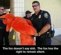 What Does The Fox Say