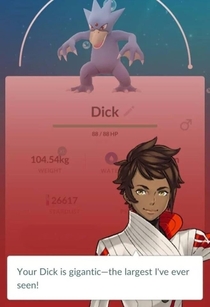 What for the Pokemon Duck No Dick