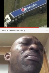 What happened to bepis