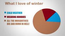 What i love of winter